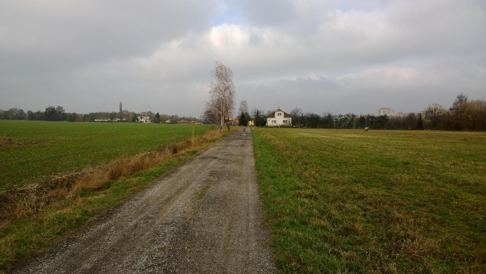 Nokia Lumia 1020 vs. 808 PureView