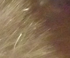 Samsung ST1000: nabitý technologiemi