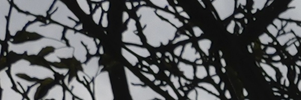 Panasonic Leica DG Vario-Elmarit 12-35mm / F2.8 ASPH. / Power O.I.S