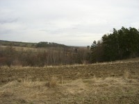 Casio Exilim Card EX-S600: Asijský plátek na fotografický způsob