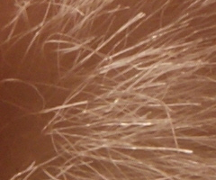 Sony Alpha A230: nejlevnější z nového trojlístku