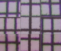 Canon PowerShot SX120 IS: zraje jako víno