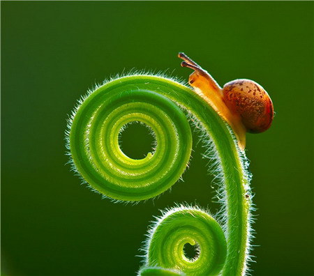 Sony zveřejnilo užší výběr snímků pro WPA 2010