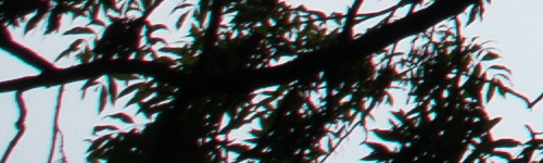 Canon EF-M 15-45mm f/3.5-6.3 IS STM