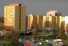 Nikon Coolpix L100: lovec hmyzu