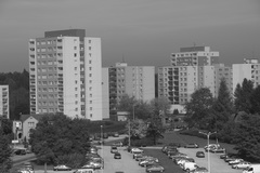 Canon EOS 550D: třídní premiant