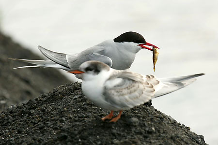 DSLR na cestě časem - 13. díl