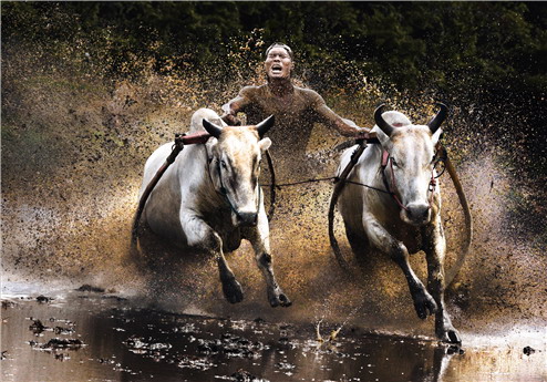 Sony vyhlásilo vítěze World Photography Awards 2011