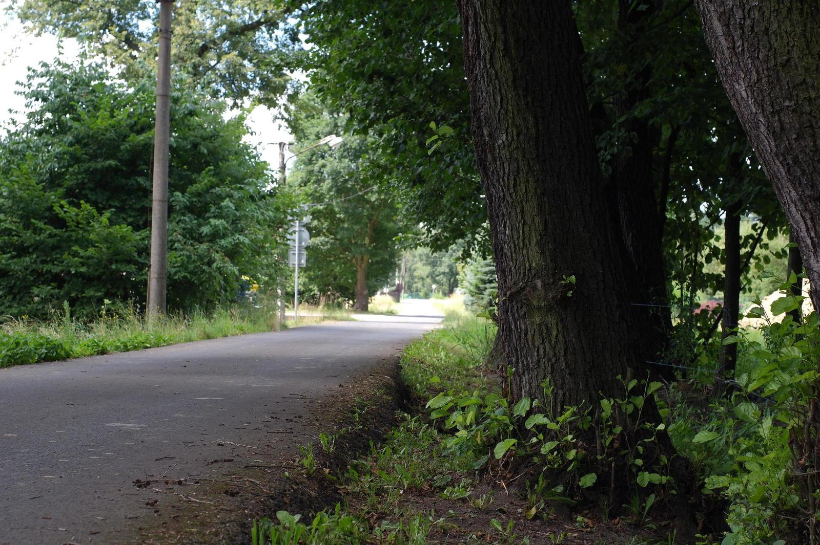 Minolta MD Rokkor 45mm F2.0 (MD)