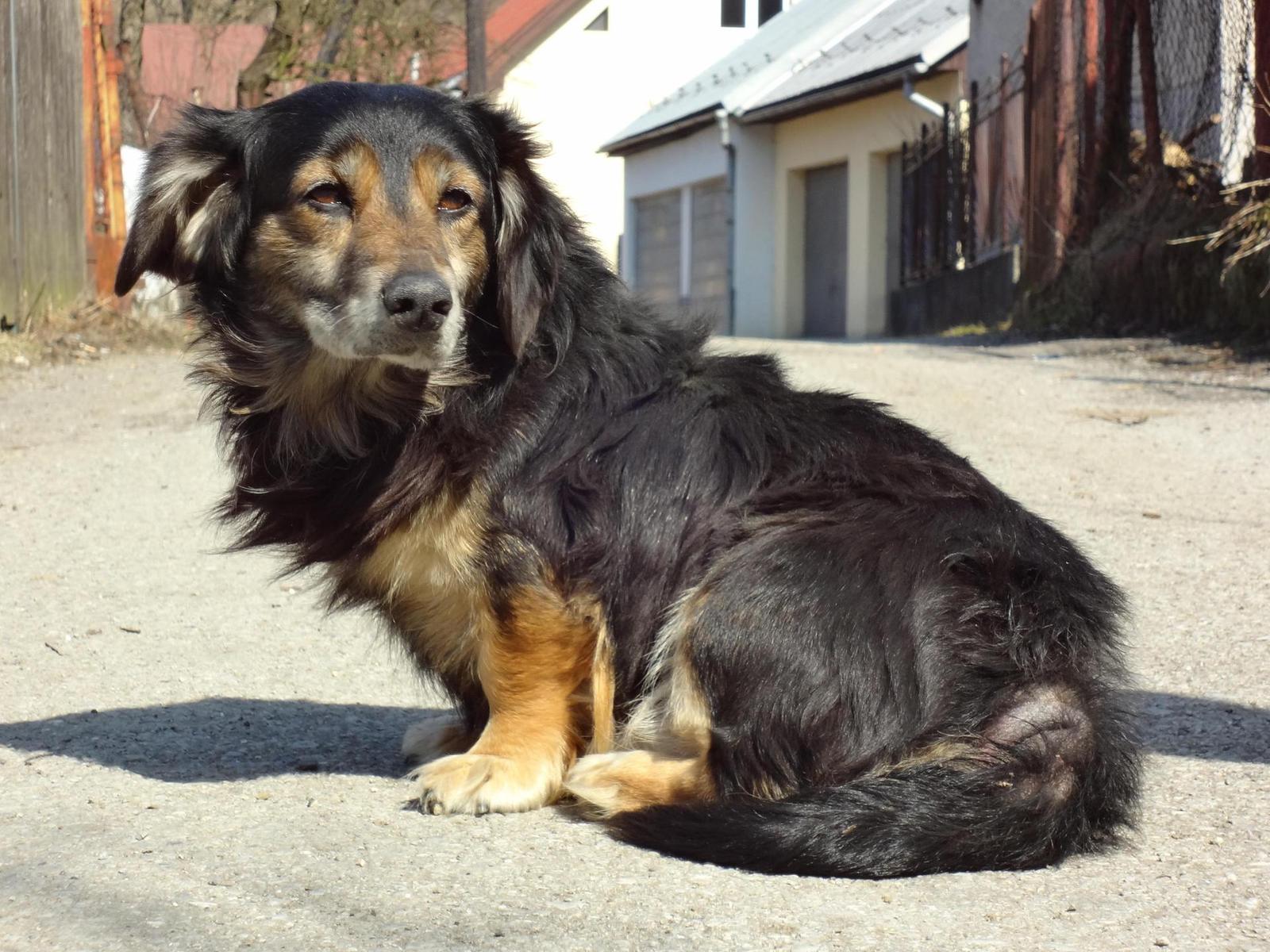 Sony Cyber-shot WX7: překoná skvělou WX5?