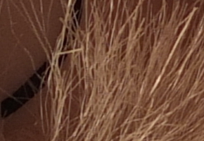 Fujifilm X-S1: jedinečný