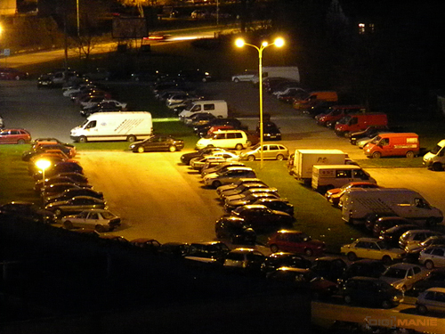 Nikon Coolpix L100: lovec hmyzu