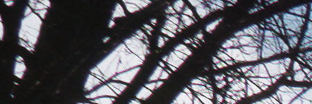 Panasonic Lumix LX100: pozoruhodný profi kompakt