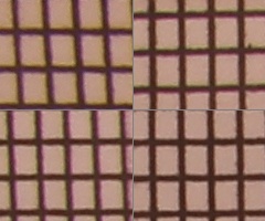 Canon EOS 550D: třídní premiant