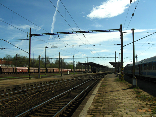 Canon PowerShot A590 IS: malý, ale šikovný