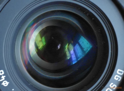 Fotíme s Koalou: Clona