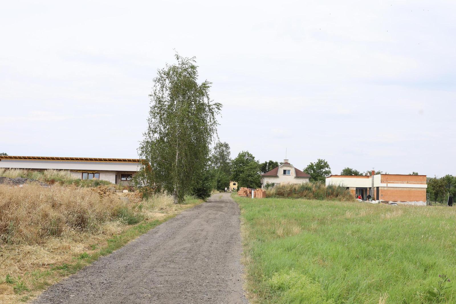 Canon EF 50mm f/1.4 USM