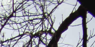 Samyang 35mm F1.4 AS UMC (pro Canon)