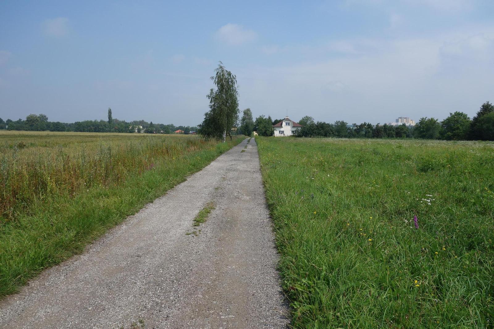 Sony Cyber-shot RX100: terminátor zrcadlovek