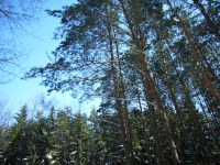 Caplio R1: Široká kompaktní náruč