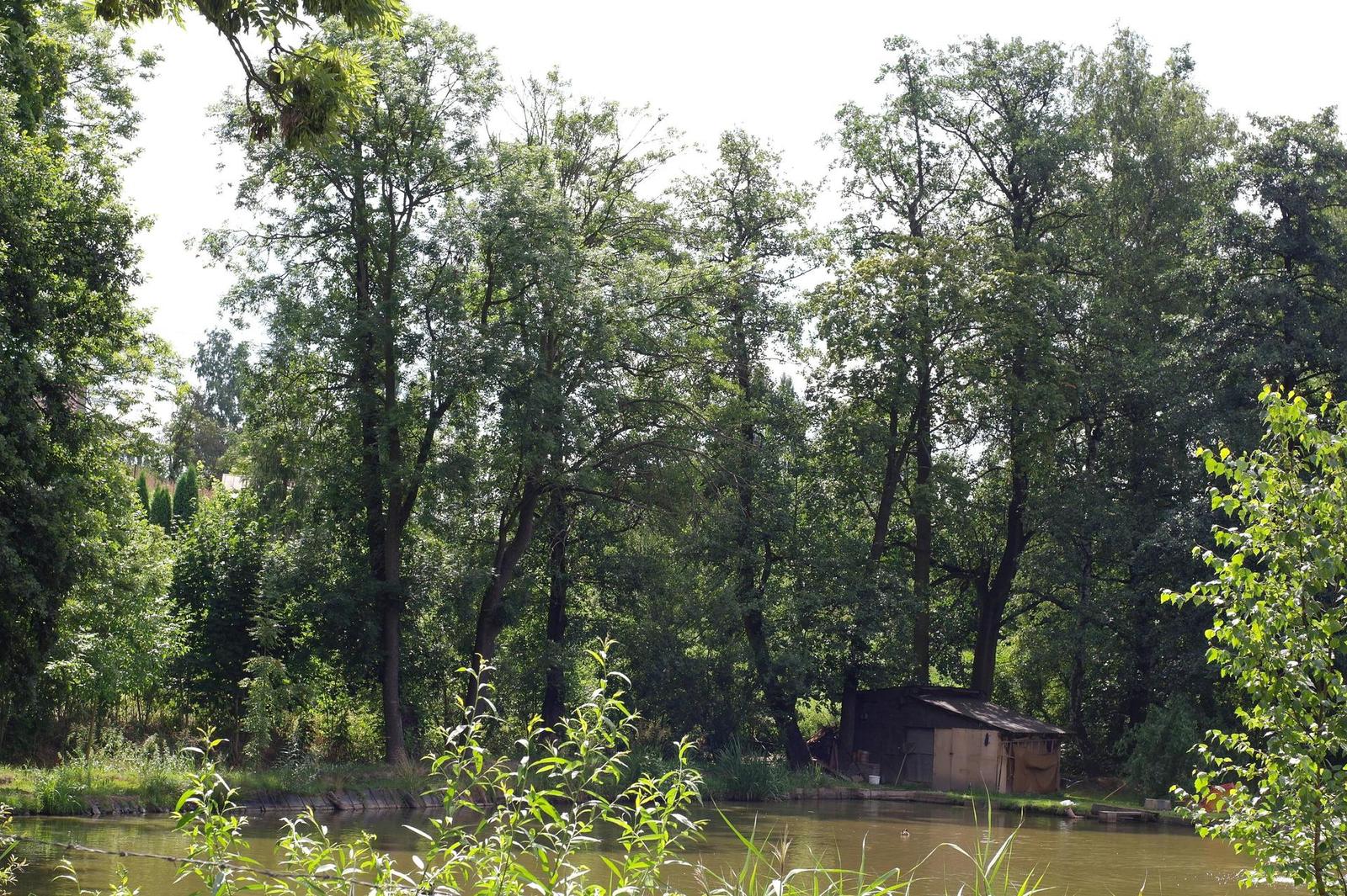 Minolta MD Rokkor 45mm F2.0 (MD)