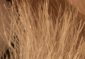 Olympus OM-D E-M5: elegantní fotokladivo