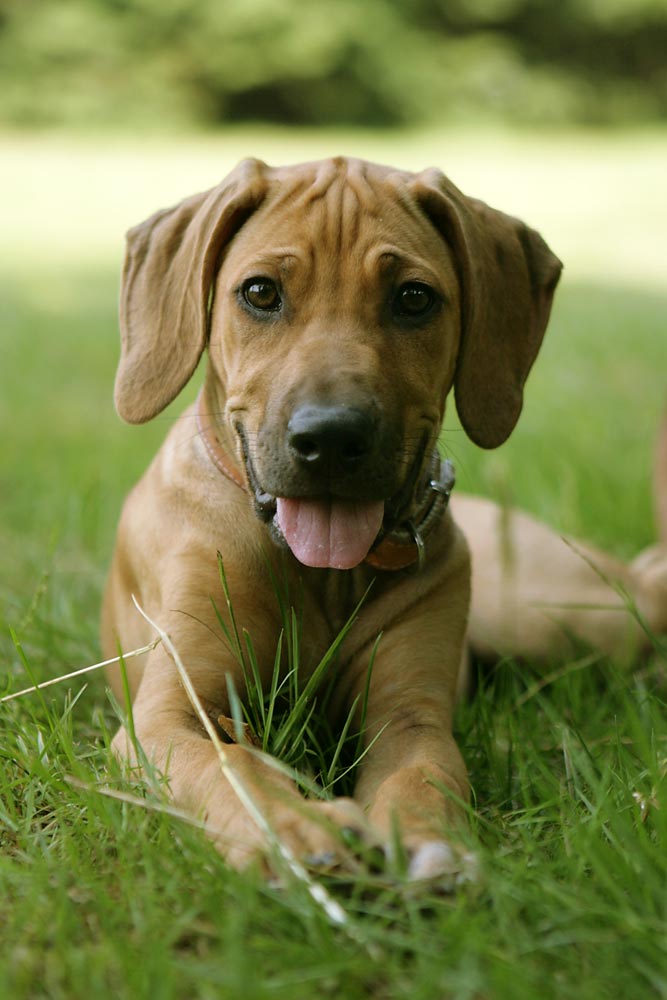 Cesta ke kvalitní fotografii: 3.díl