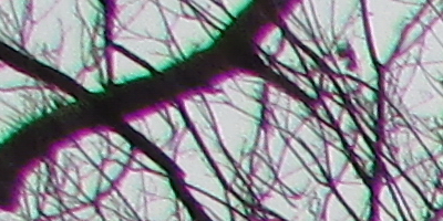 Canon PowerShot SX500 IS: fotící stroj času