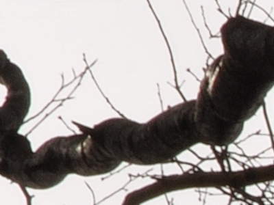 Postačí setový objektiv? Nikon vs. Sigma a Tamron