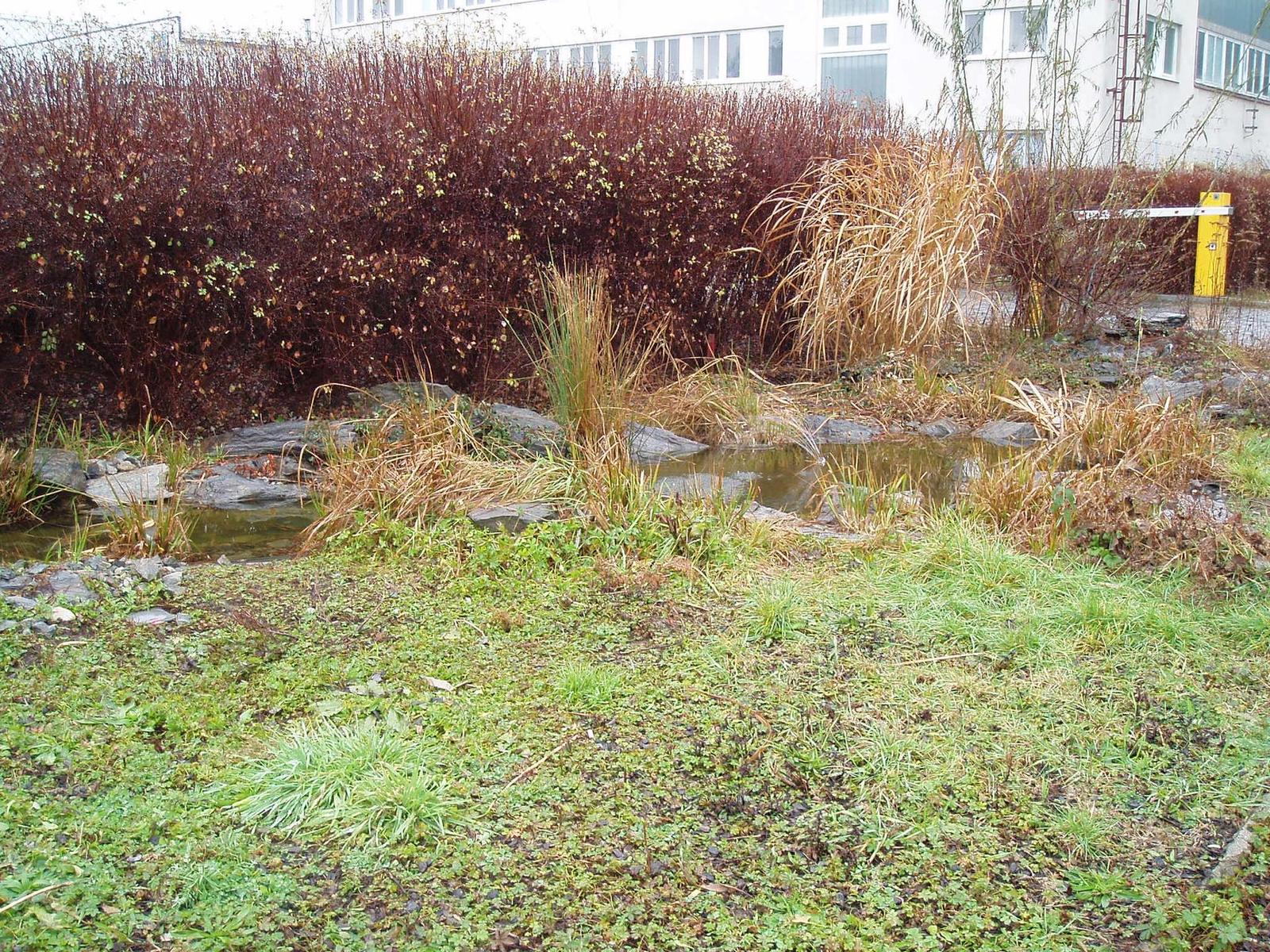 Olympus µ-mini Digital: Chci jen snímek vyfotit a jít!