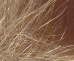 Canon IXUS 200 IS: poprvé dotykově