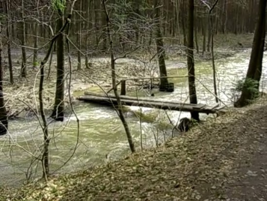 Casio Exilim Card EX-S600: Asijský plátek na fotografický způsob