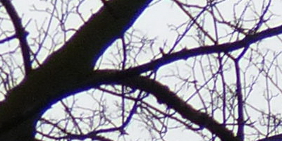 Panasonic Lumix FZ200: ultrazoomové překvapení roku