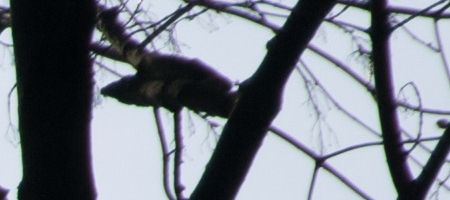 Nikon AF-S DX NIKKOR 16-85mm f/3.5-5.6G ED VR