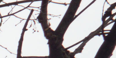 Samsung EX2F: významný krok vpřed