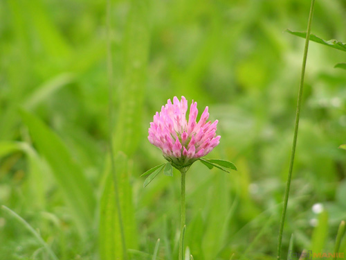 Starý vs. nový aneb megapixely k ničemu?