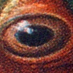 UMAX Premier 3306: Jednoduchý, ale pohledný premiér