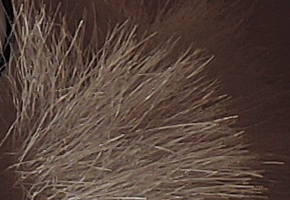 Nikon Coolpix P330: do vyšších sfér