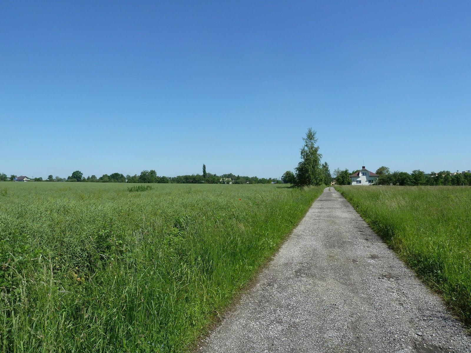 Panasonic Lumix TZ10: kapesní dělo