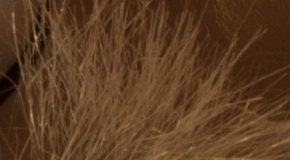 Nikon D7200: přesvědčivé zrcadlo