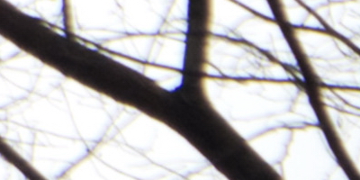 Fujifilm X-S1: jedinečný