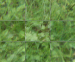 Panasonic Lumix G Vario 100-300mm F4-5,6