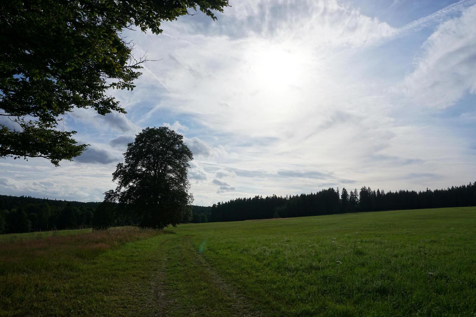 Sony A6000 (ILCE-6000): stále dobrý