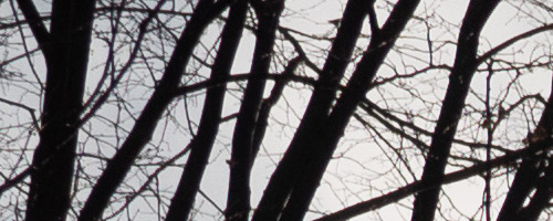 Panasonic Leica DG Vario-Summilux 10-25mm F1.7 ASPH.