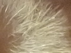 Sony Cyber-shot WX7: překoná skvělou WX5?