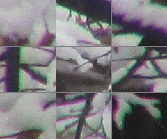 Canon PowerShot SX500 IS: fotící stroj času