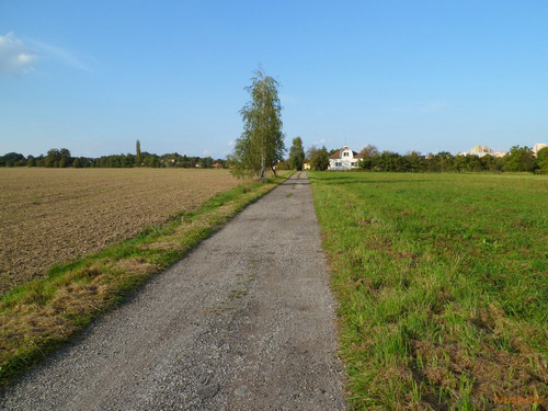 Samsung PL210: levně s grácií