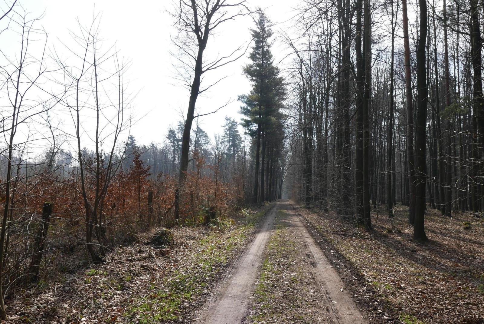 Panasonic Lumix LX100: pozoruhodný profi kompakt