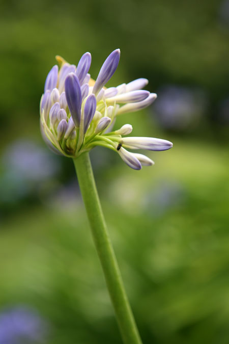 Formáty pro ukládání fotografií - 3.díl: jpeg