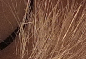 Fujifilm X-S1: jedinečný